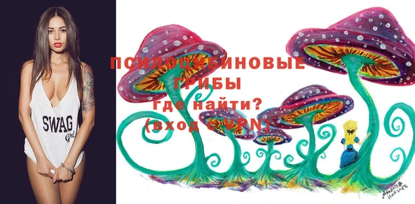 хмурый Белая Калитва