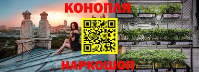 jwh Ирбит